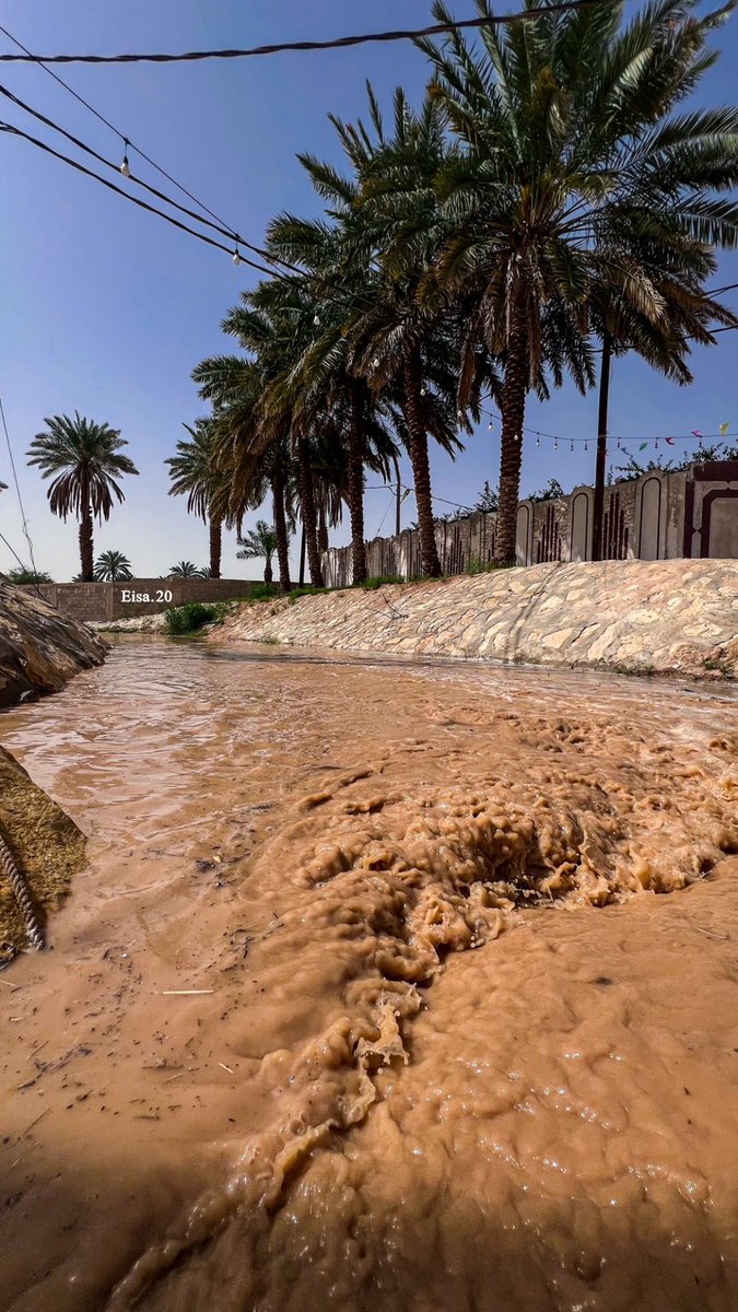 عيسى بن ناصر tweet media