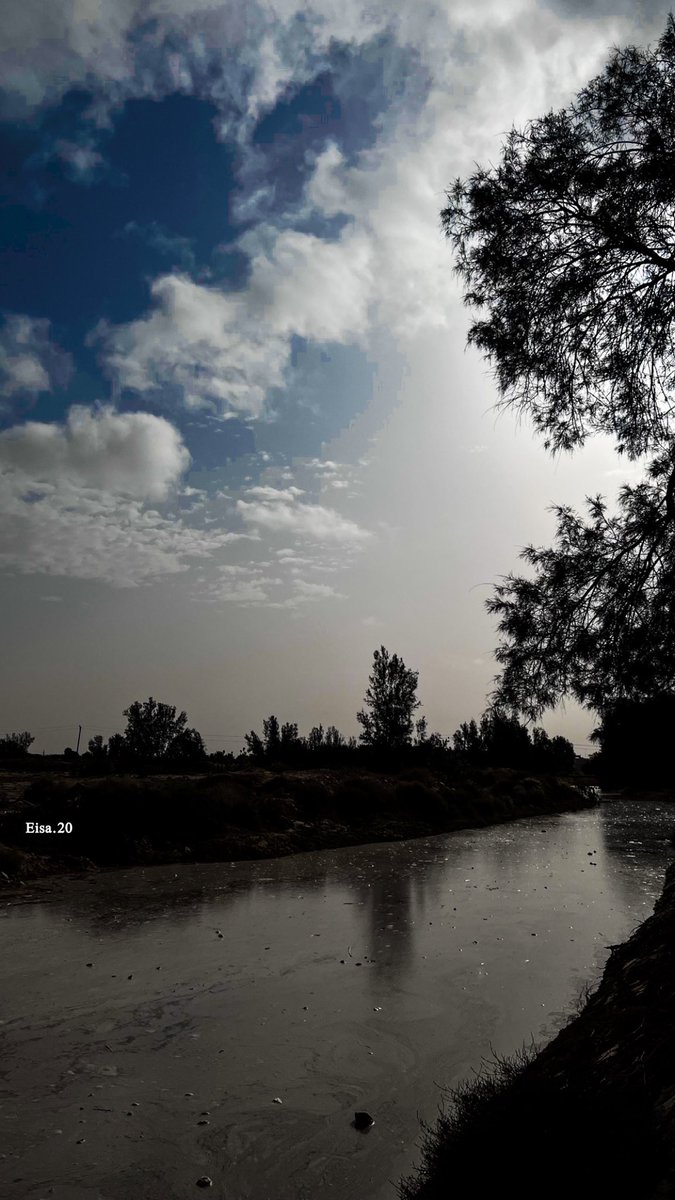 عيسى بن ناصر tweet media