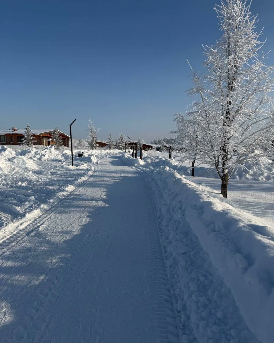 The Travel Portfolio tweet media