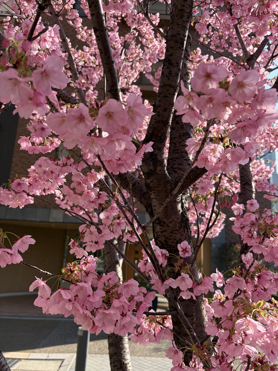 🥃ゴッチ🥃 tweet media