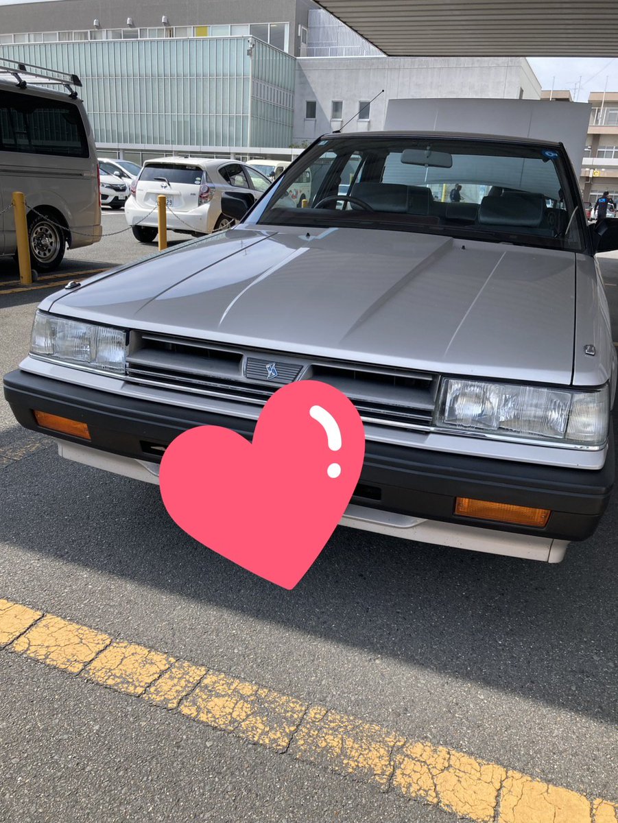 ドゥマ🍀︎ tweet media