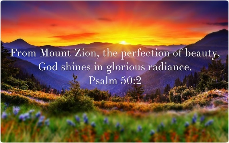 Emily Winters tweet media