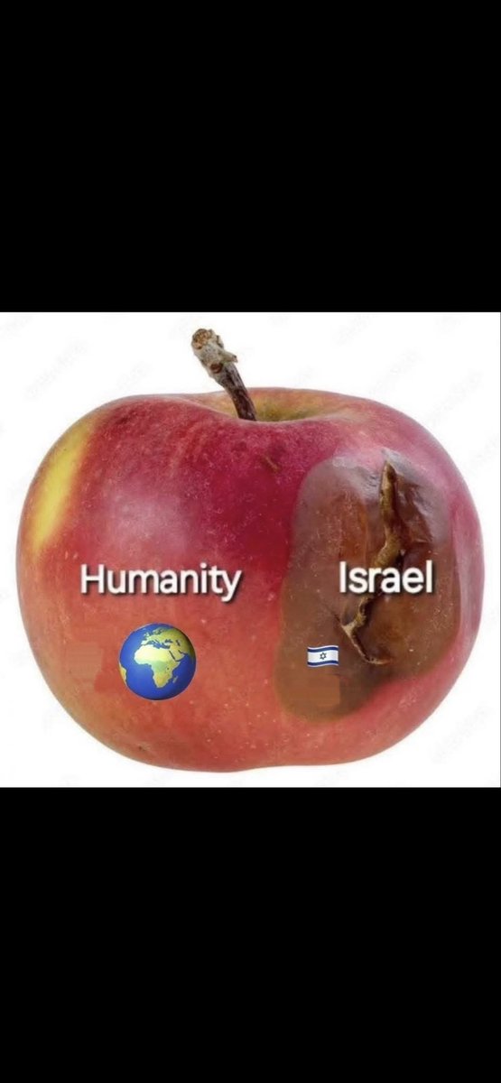 Fishbone tweet media