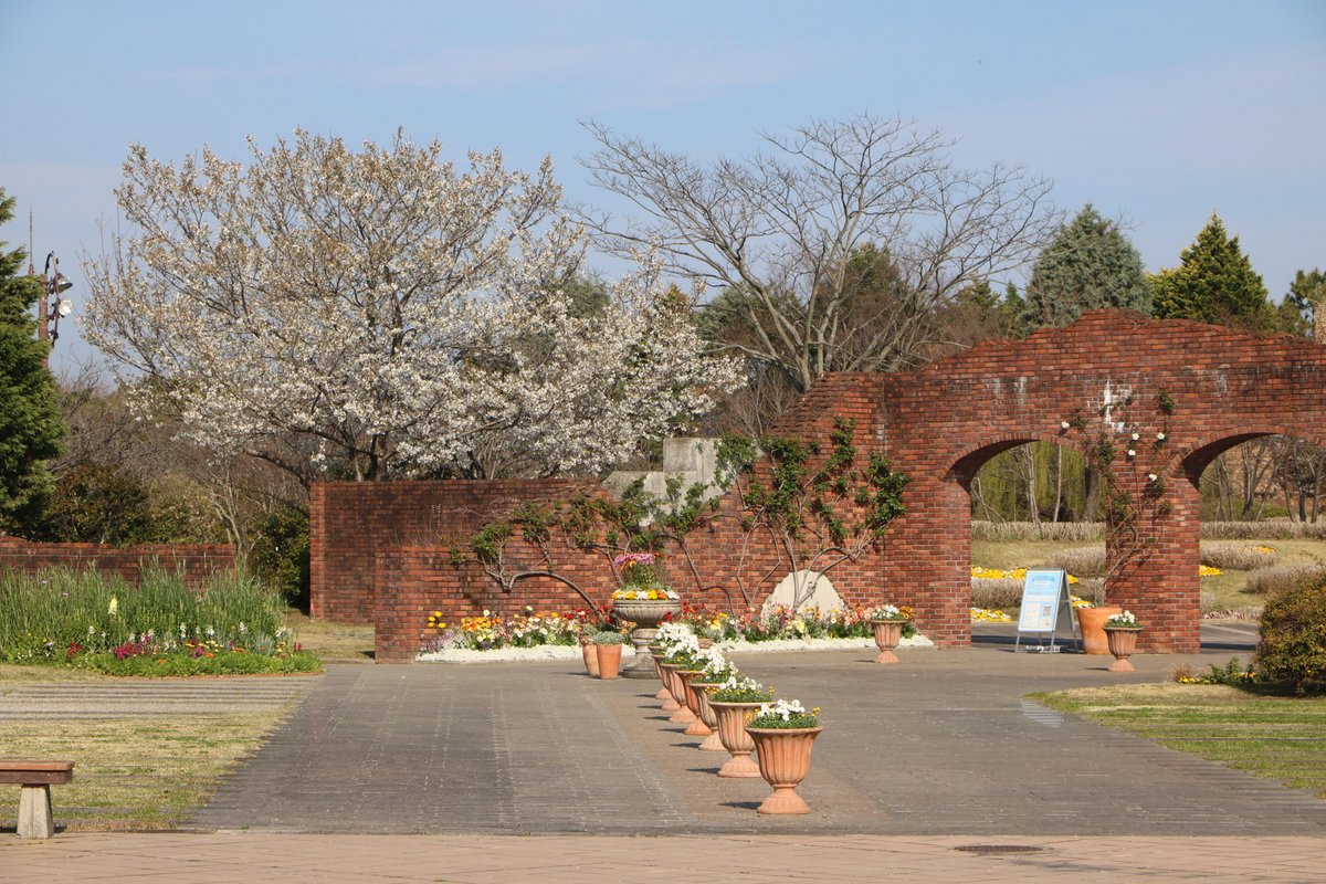 海の中道海浜公園 tweet media
