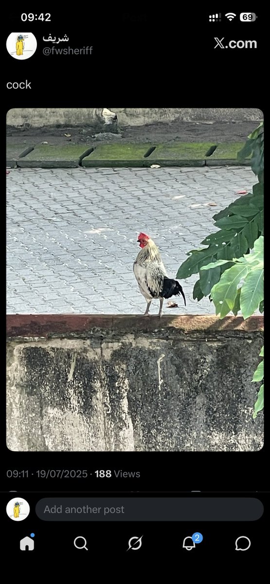 شريف tweet media