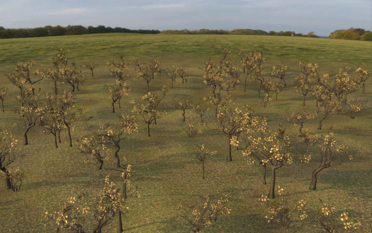 Alexander Kovelenov tweet media