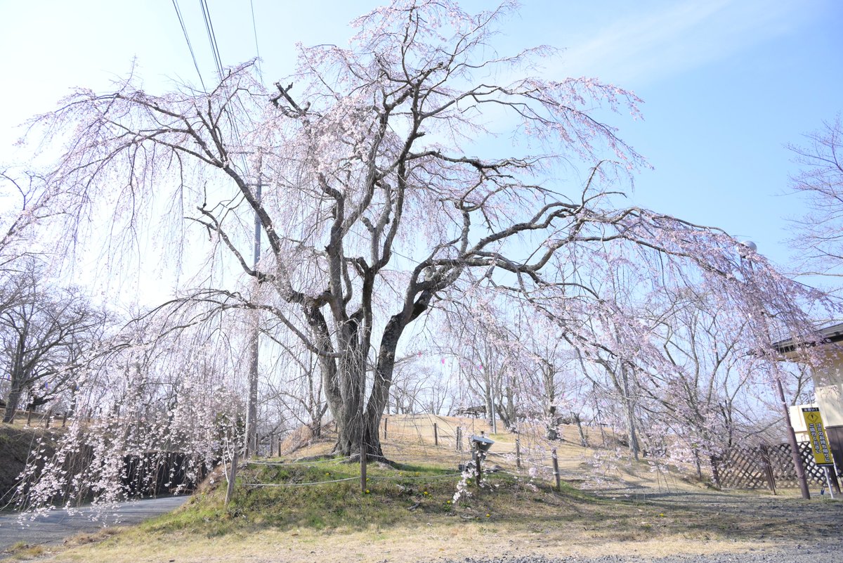 茨城県　常陸太田市 tweet media