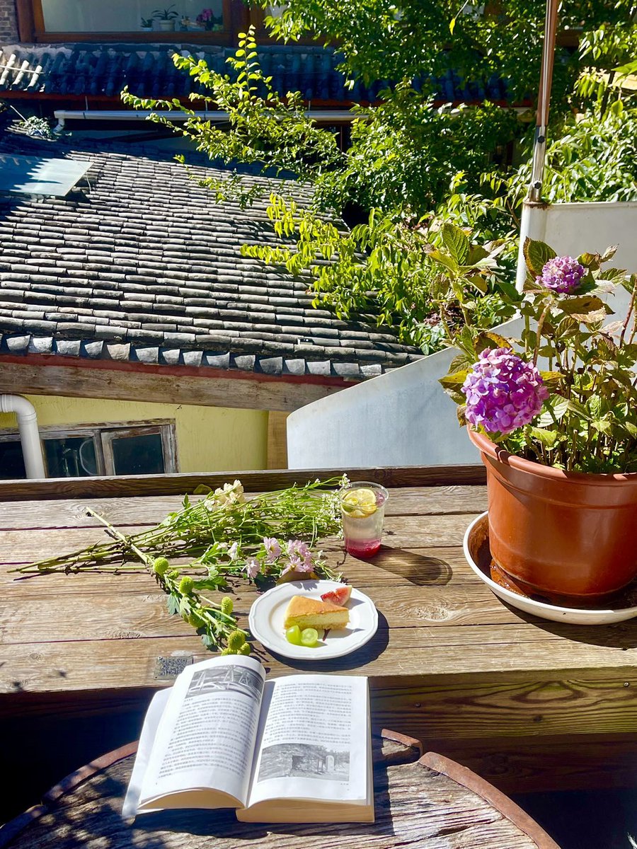 Melissa Rose tweet media