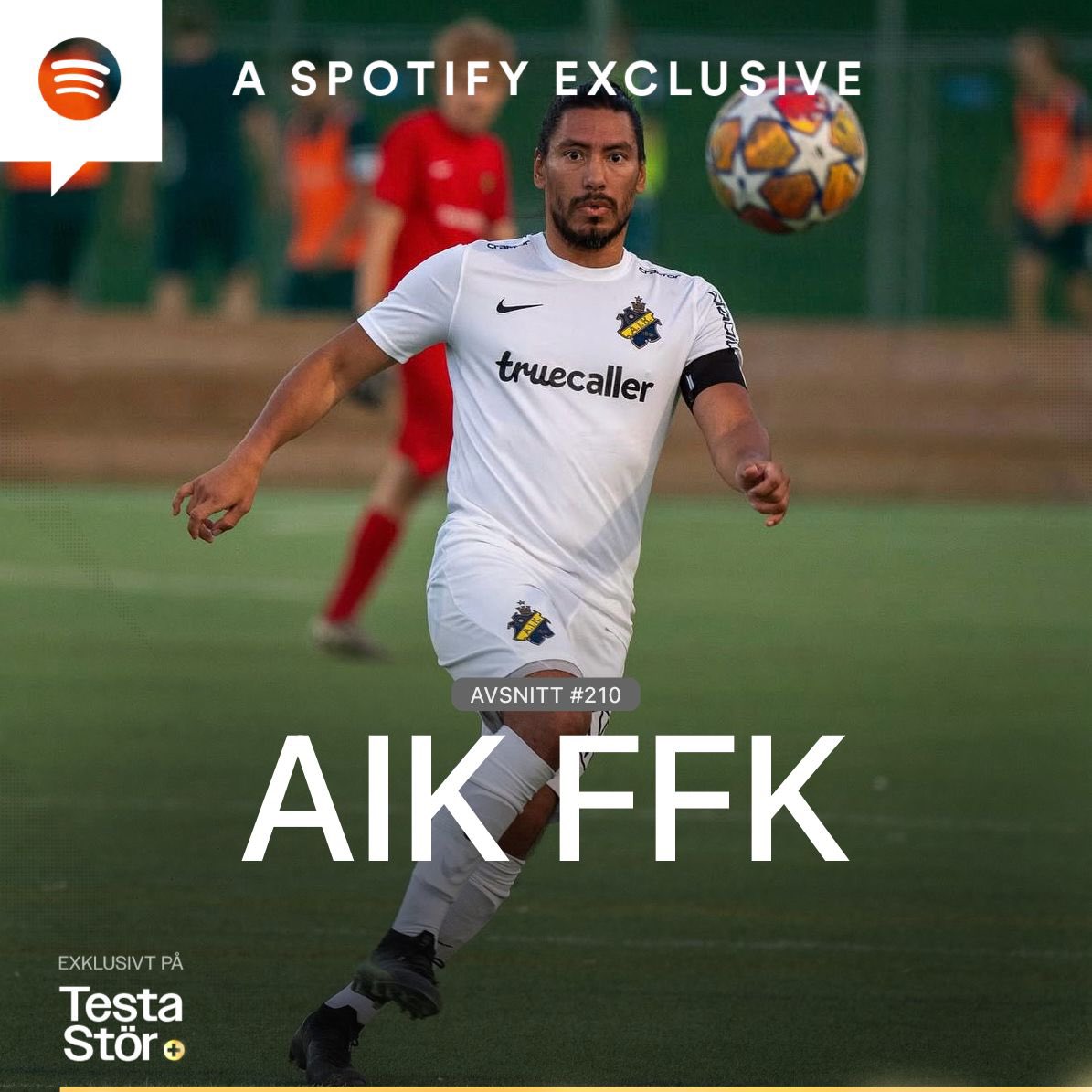 Testa Stör tweet media