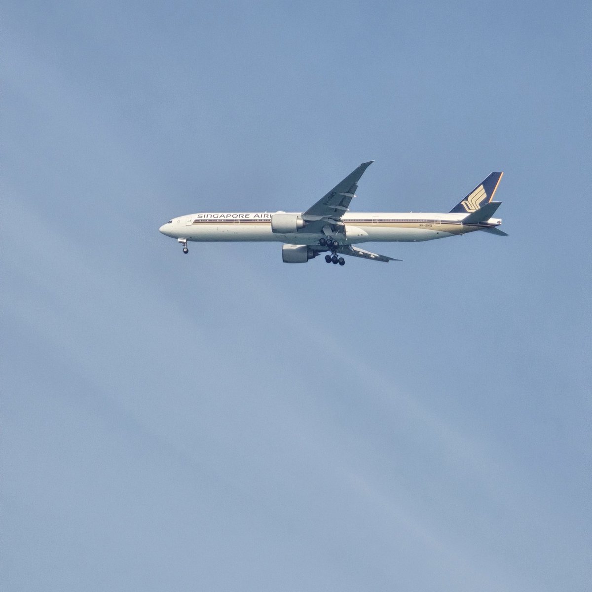 Ekalavya tweet media