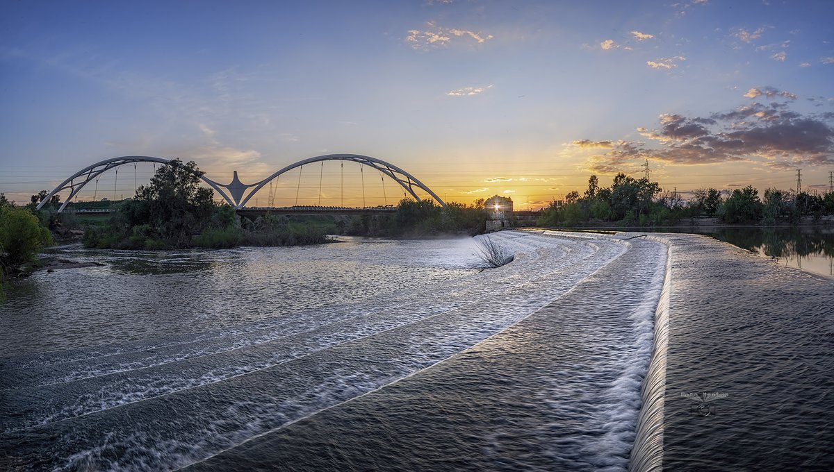 Pedro Mengual tweet media