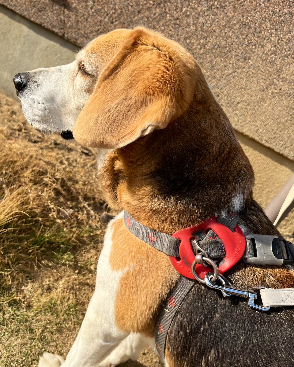 ᴍ ᴇ ᴍ ᴇ tweet media