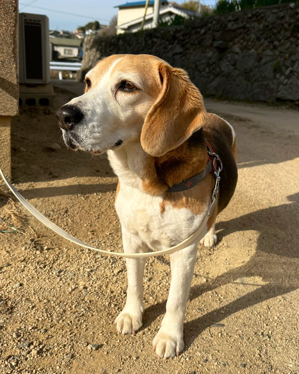 ᴍ ᴇ ᴍ ᴇ tweet media