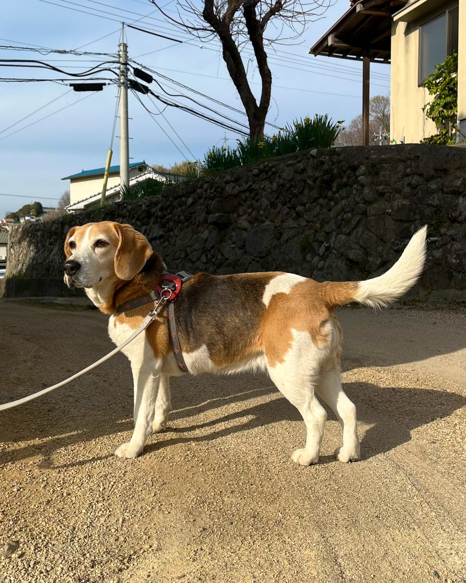 ᴍ ᴇ ᴍ ᴇ tweet media