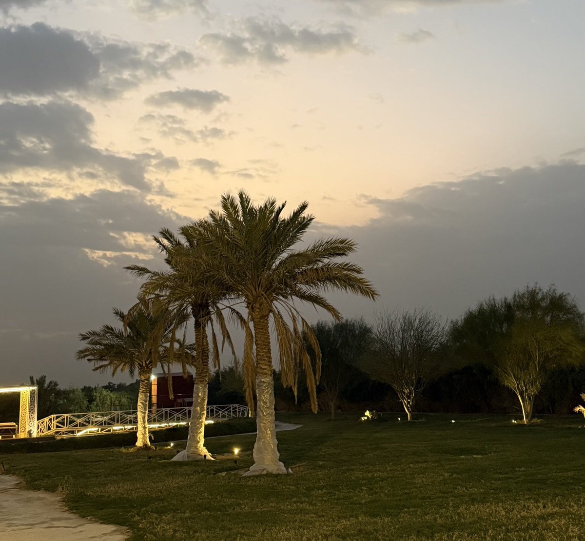 قلم رصاص tweet media