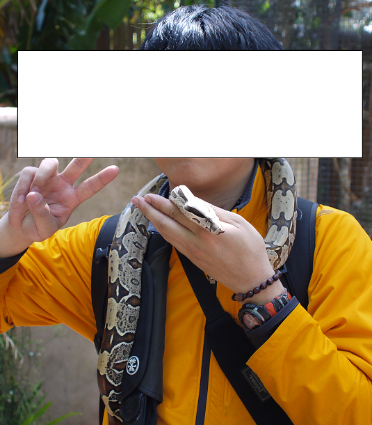 기름(호랑이)~ tweet media