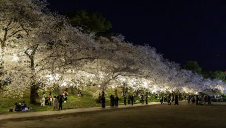 岡崎おでかけナビ tweet media