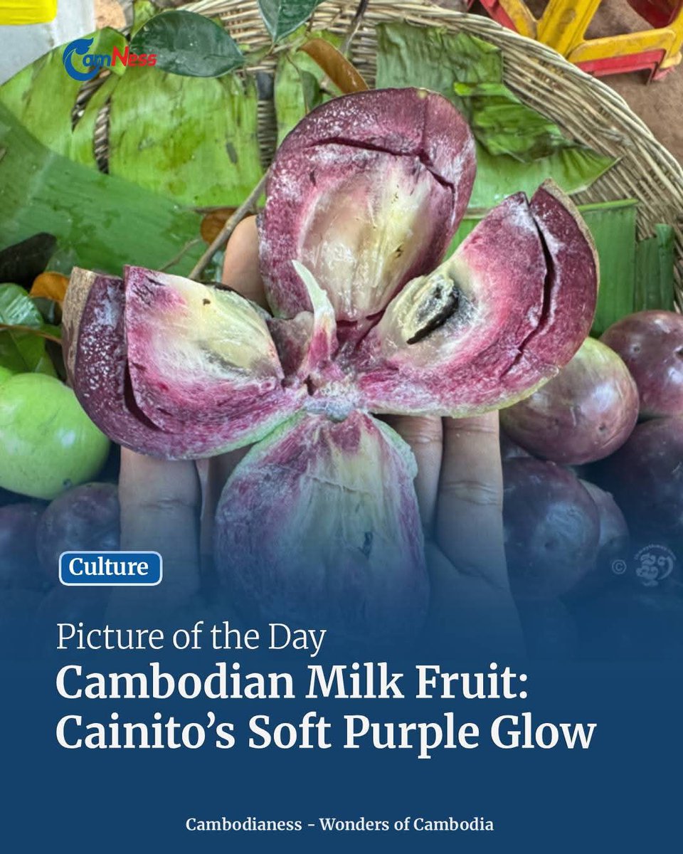 Cambodianess tweet media