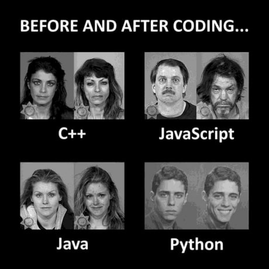 Python Programming tweet media