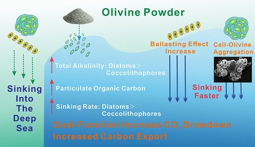 Geoengineering Info tweet media