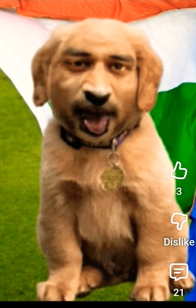 Rustyn Lover 💖 tweet media