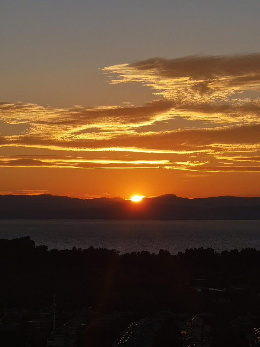 ADRIANA LUJAN GUZMAN tweet media