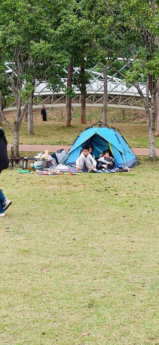 Eileen Hogan tweet media