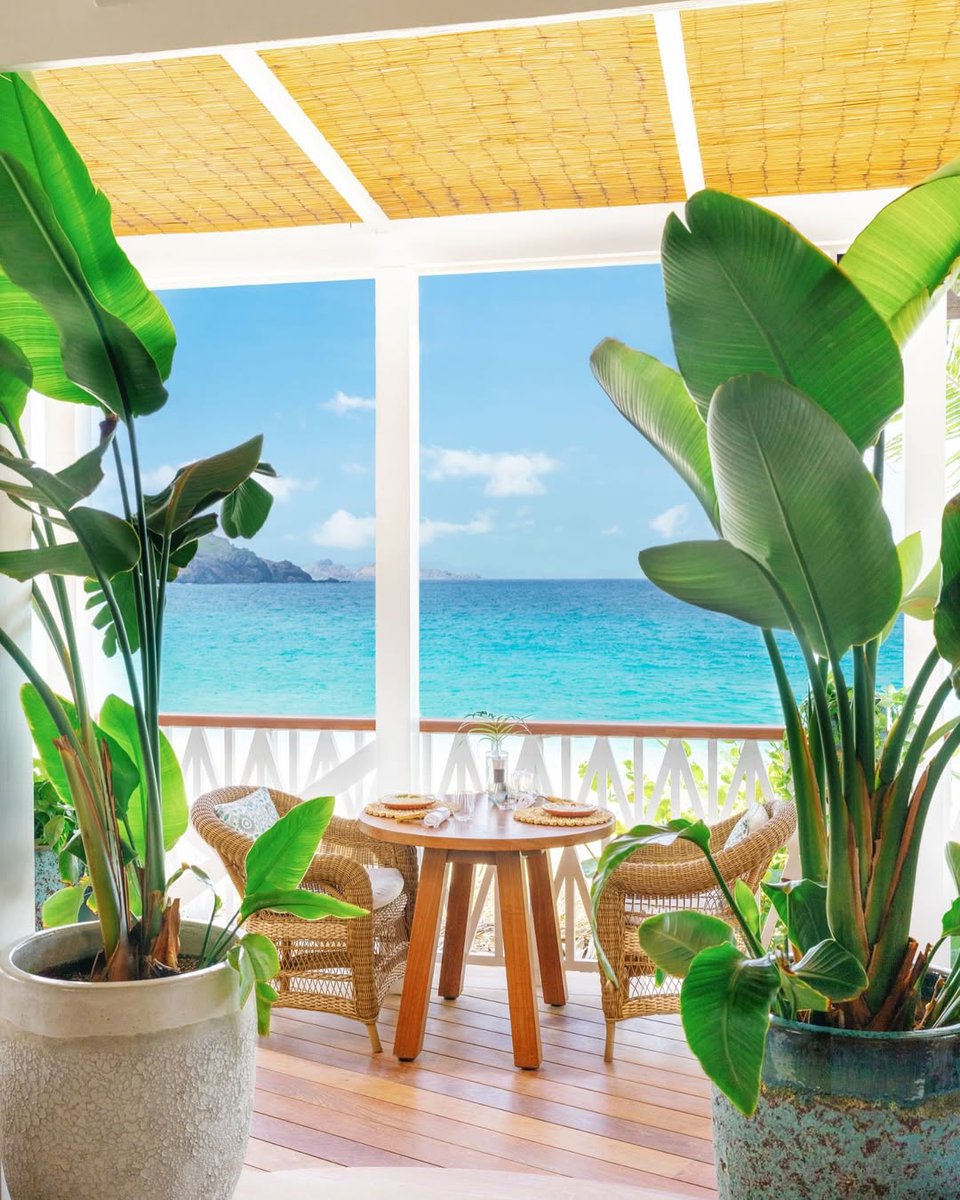 The Travel Portfolio tweet media