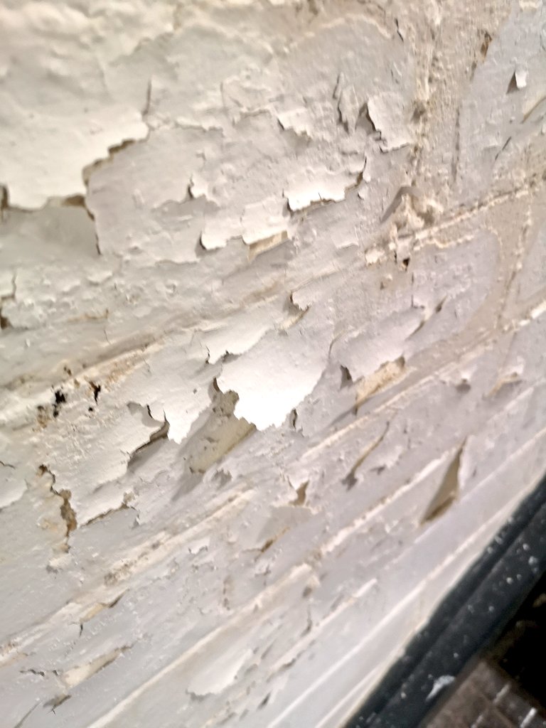 orwellvalley tweet media