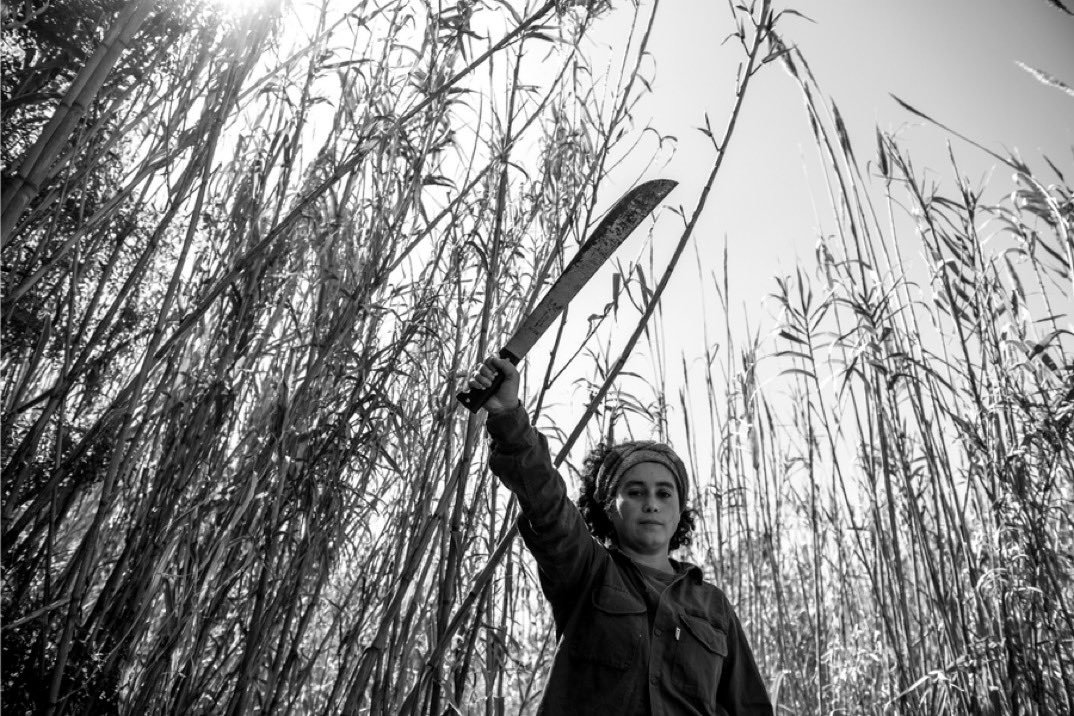 SuzanneNFTs tweet media