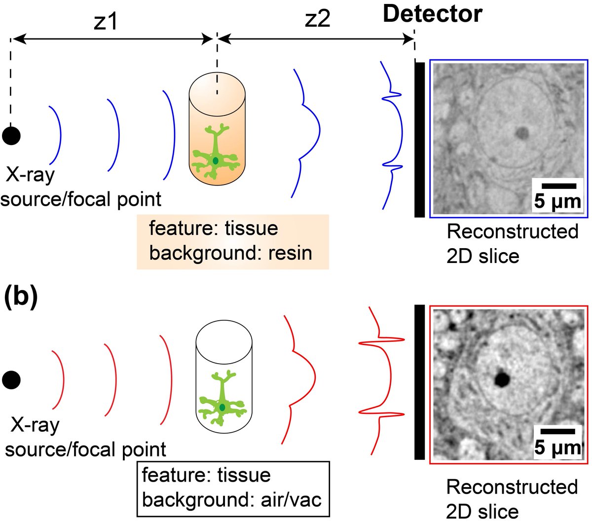Carles Bosch tweet media