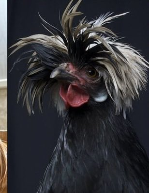 ˙ᵕ˙ Jupiter ☁️ ‧₊˚ ⋅ tweet media