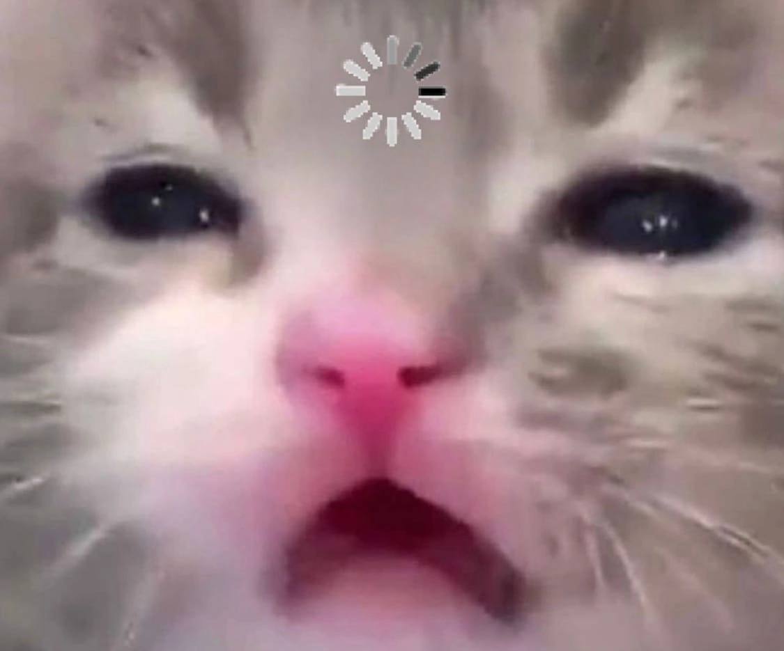 𝕾𝖙𝖆𝖓𝖑𝖊𝖞 tweet media