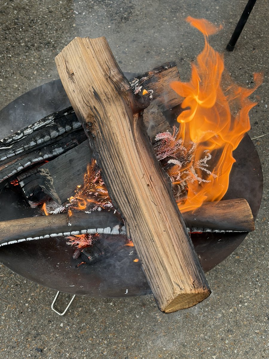 上矢ゆい🌹Yui Kamiya tweet media