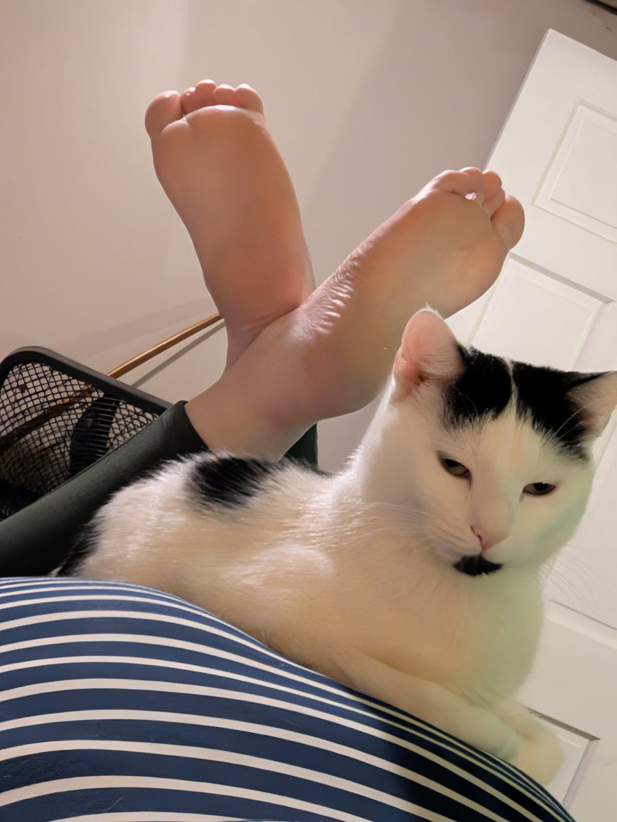 our crazy house tweet media