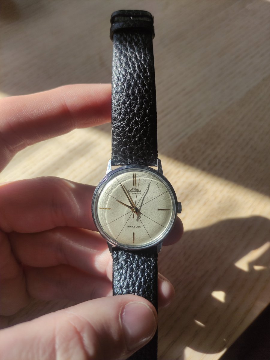 Dominik Zelinsky tweet media