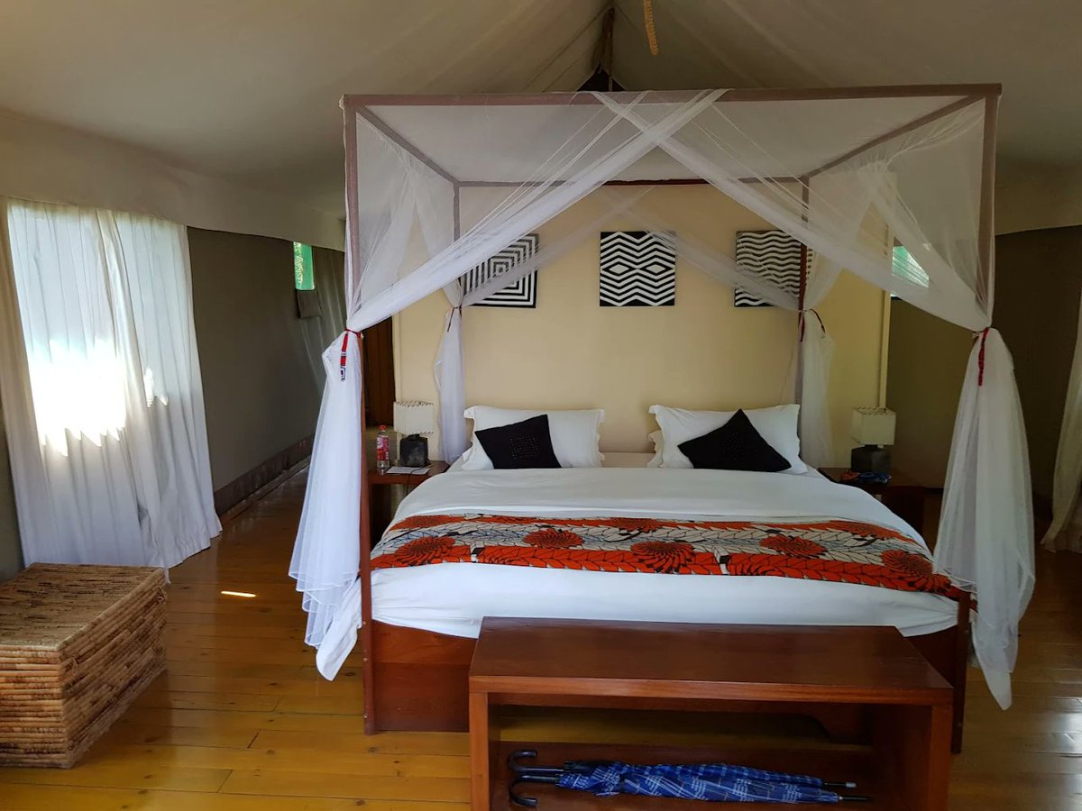 ParksInRwanda's tweet photo. RUZIZI TENTED LODGE. 
Set on the shores of Akagera’s largest lake, Lake Ihema, the Ruzizi Tented Lodge offers scenic views over the lake and a variety of ways to explore the park. All tents are designed for comfort and well-equipped. 
https://t.co/EoGHvsimU4 https://t.co/PUmI2cOPym