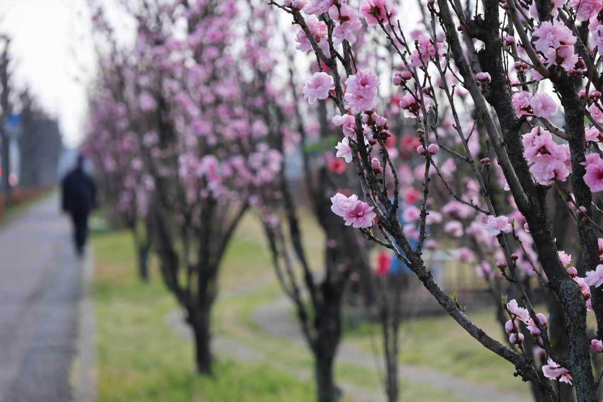 海老名市【公式】 tweet media