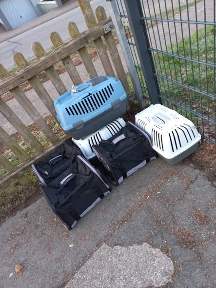 yolanda schultes tweet media