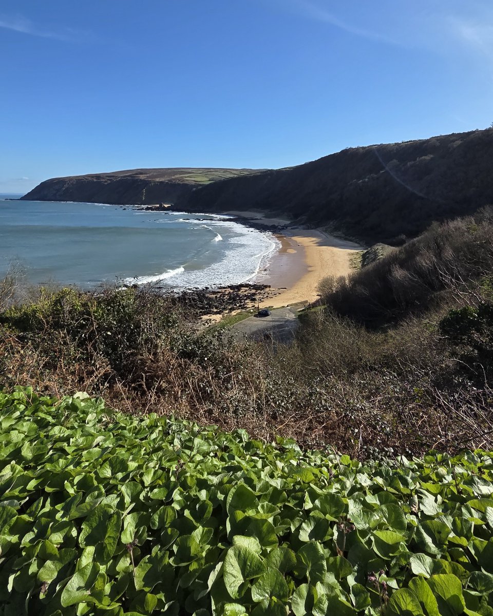 Inish View tweet media