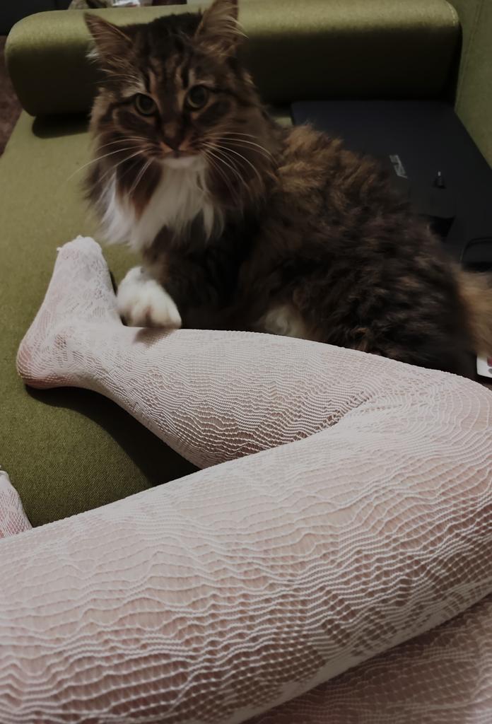 Hixto_'s tweet photo. soft… but not innocent https://t.co/lCMROsIBBv