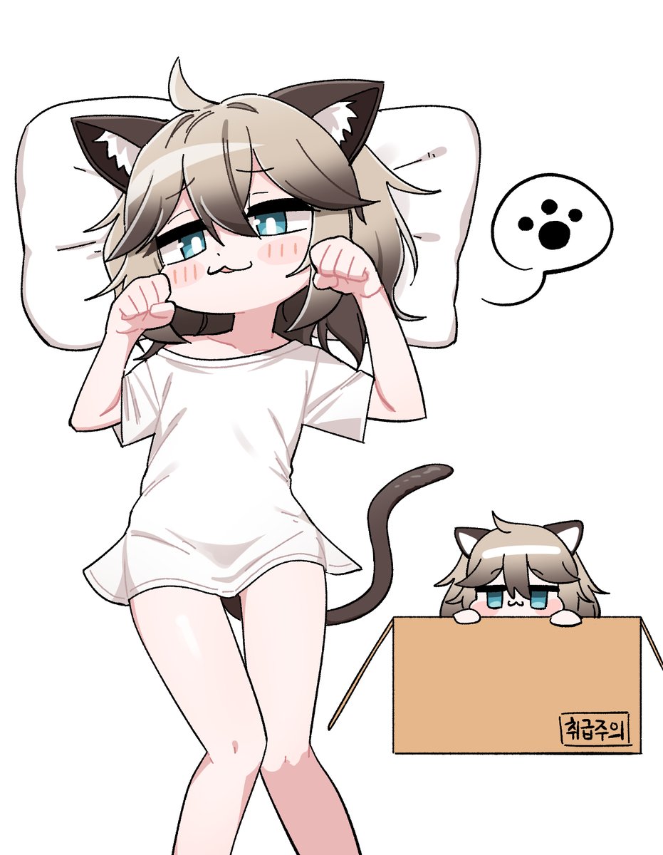 FEY / 화이트 페이퍼 tweet media