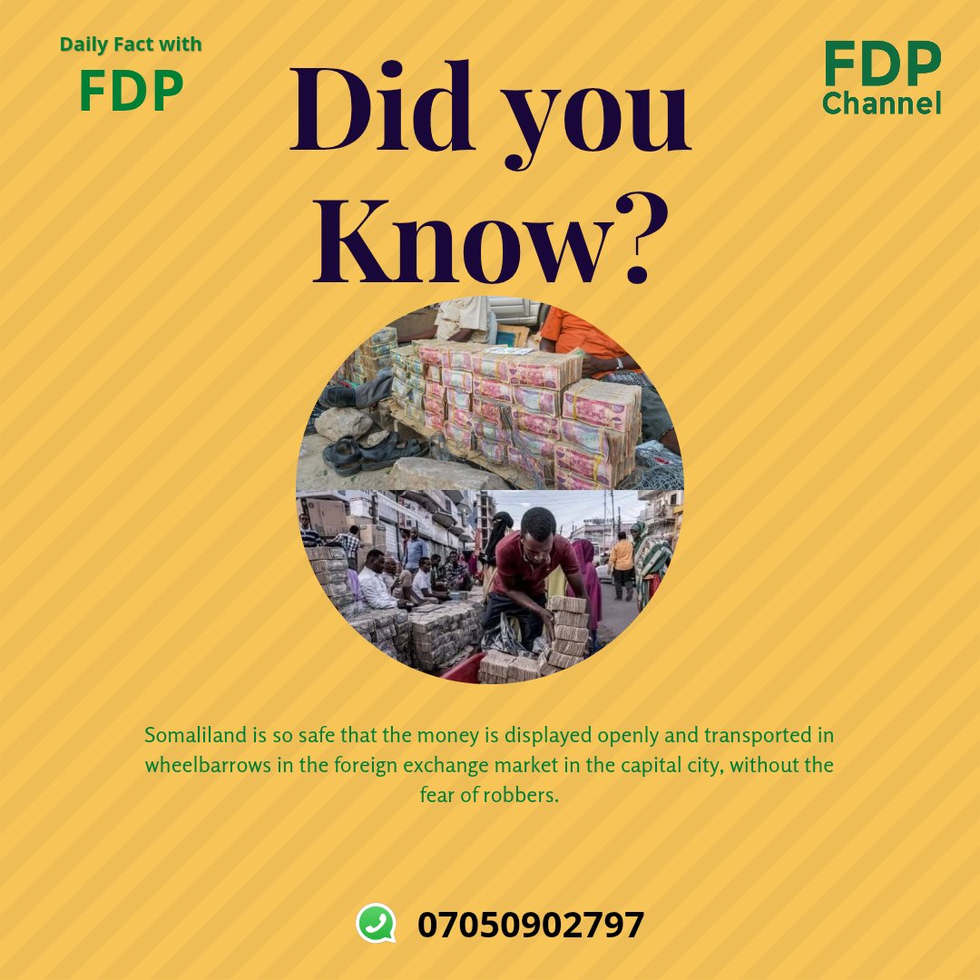 FDP Channel tweet media