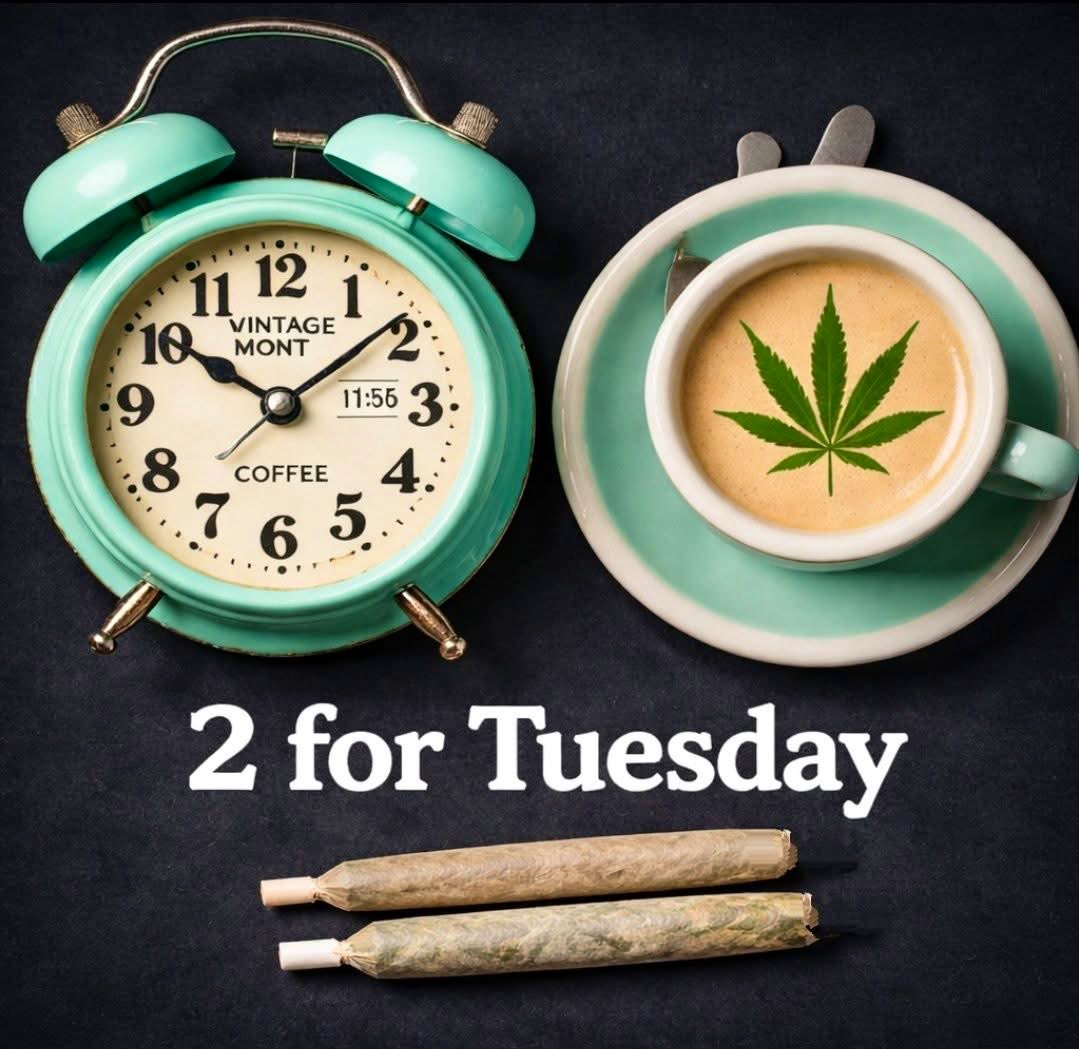 𝒜𝓃𝑔𝑒𝓁🪽 tweet media