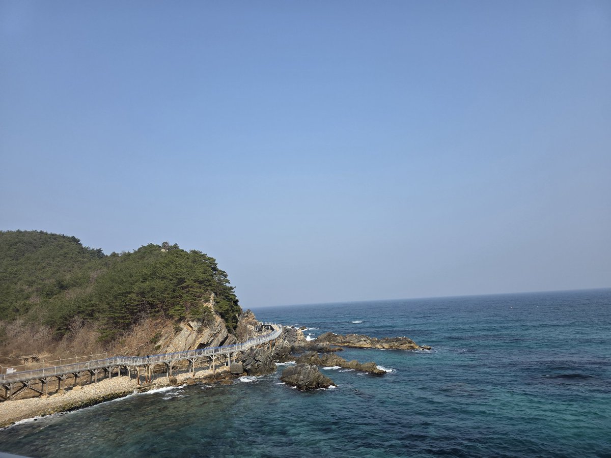 연  하 니 tweet media