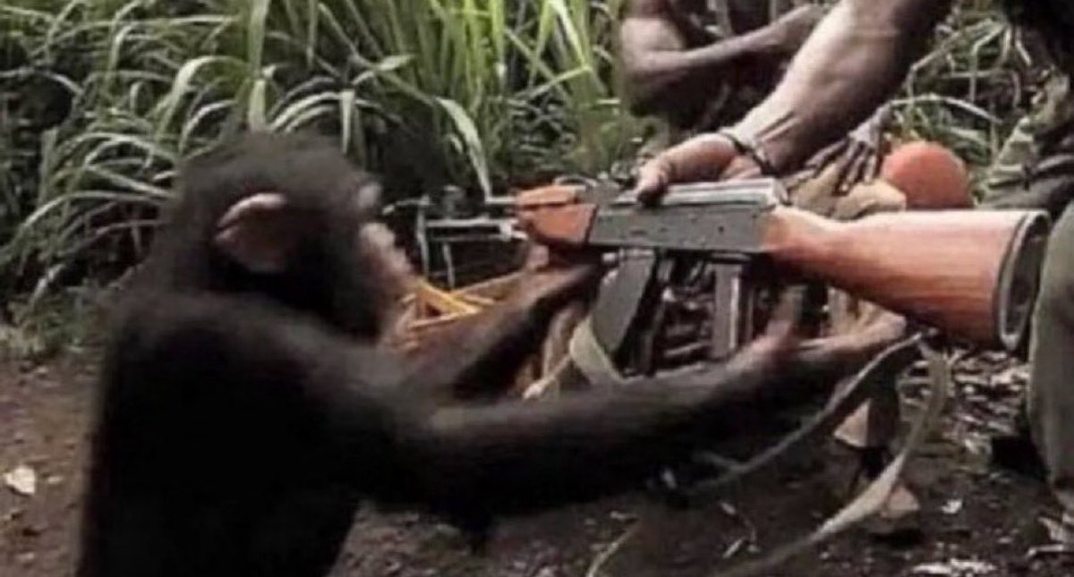 ilk kez memeye dokunduğumuzda biz