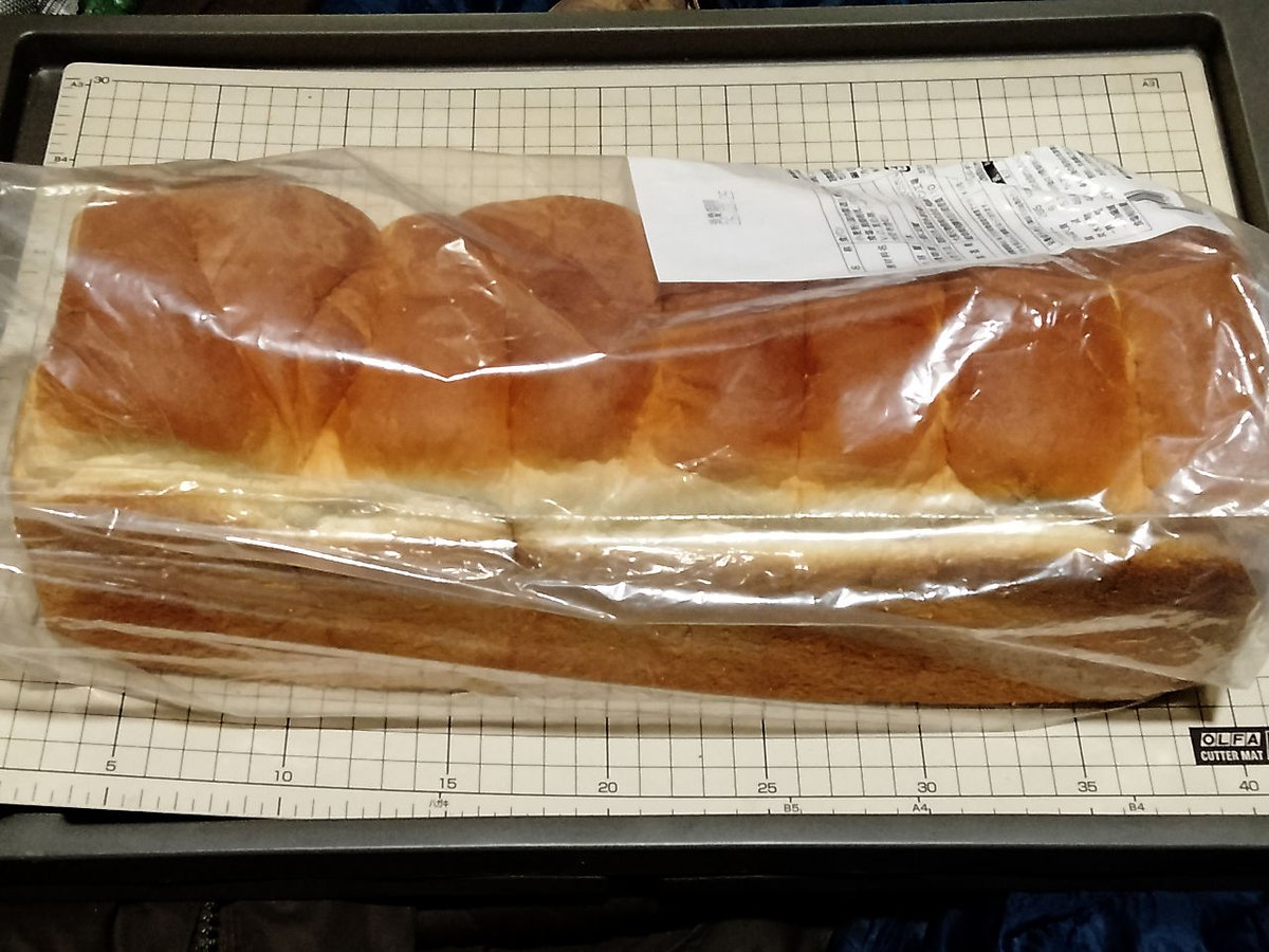 迷子フラフラ＠脱腸ファイター tweet media