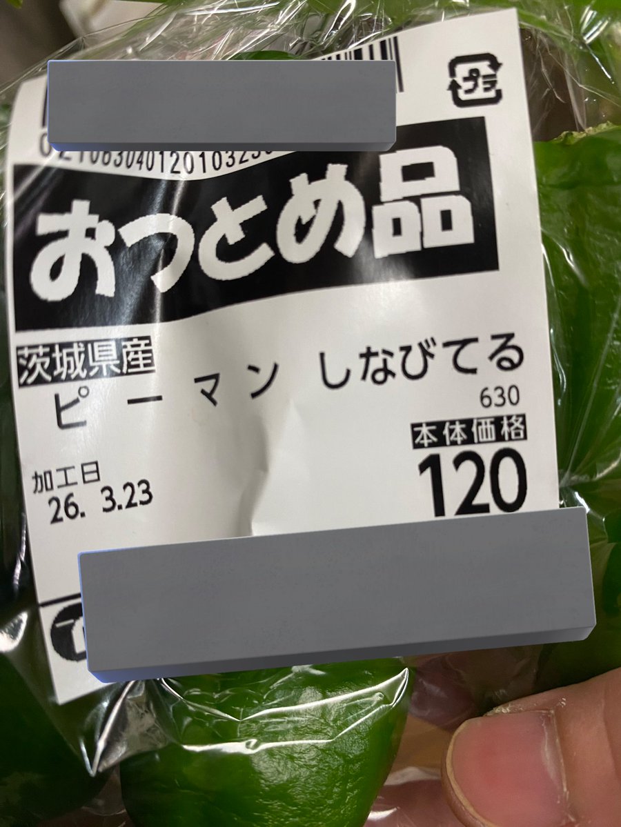 ツクダニ🌞 tweet media