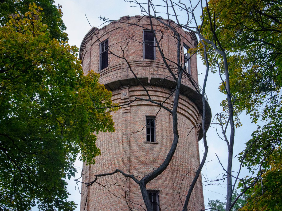 Добра киянка tweet media