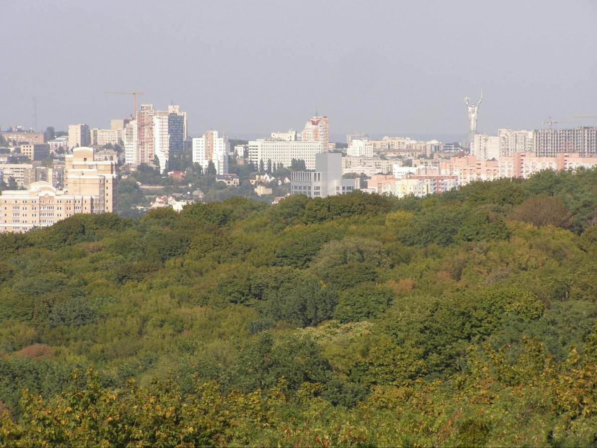 Добра киянка tweet media